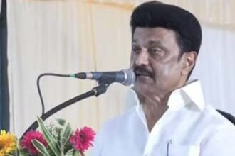 அரசு, தமிழ்நாடு