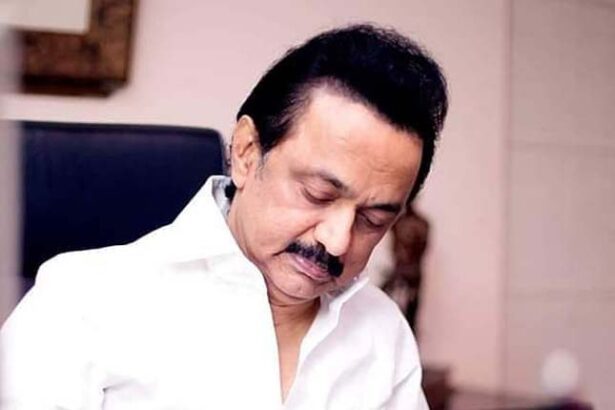 அரசு, தமிழ்நாடு