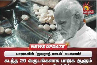 சிறப்புக் கட்டுரை