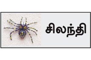 அரசியல், தமிழ்நாடு