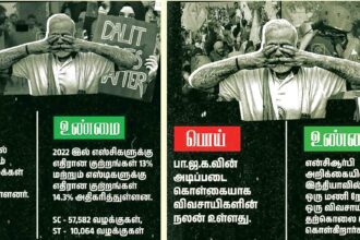ஞாயிறு மலர்