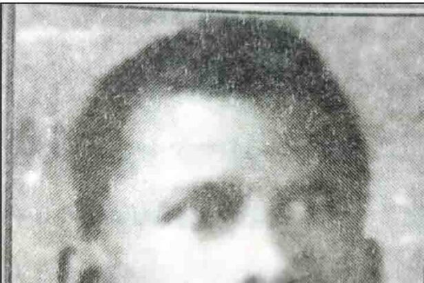 கட்டுரை