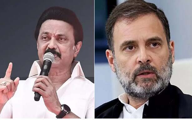 அரசு, இந்தியா, தமிழ்நாடு