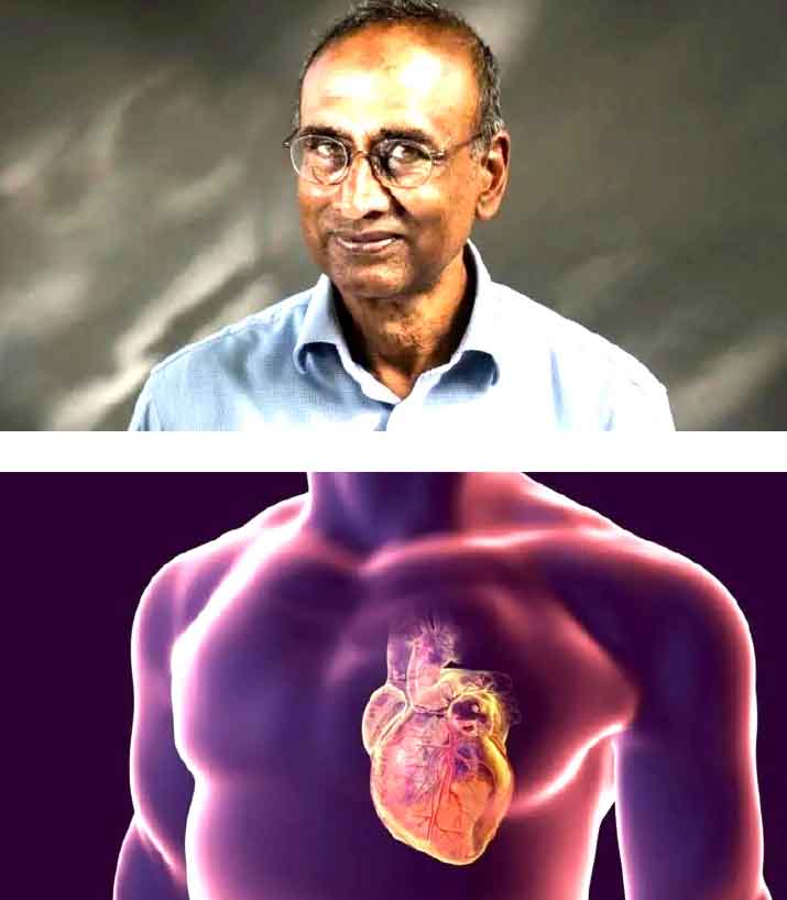 ஞாயிறு மலர்