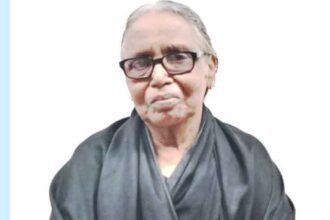 கட்டுரை, ஞாயிறு மலர்