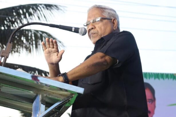 அரசியல், இந்தியா
