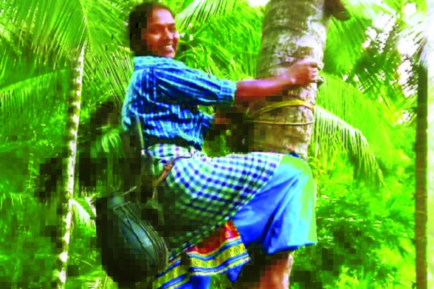 ஞாயிறு மலர்