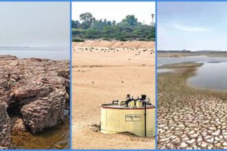 அரசு, தமிழ்நாடு