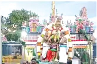 அரசு, தமிழ்நாடு