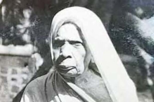 கட்டுரை