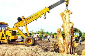 தமிழ்நாடு