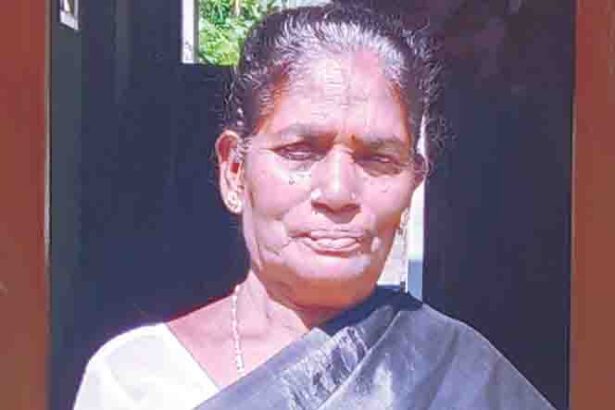 ஞாயிறு மலர்