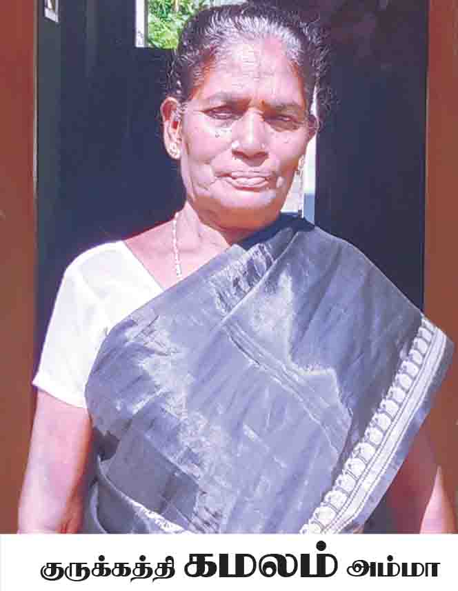 ஞாயிறு மலர்