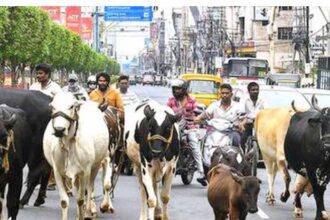 தமிழ்நாடு