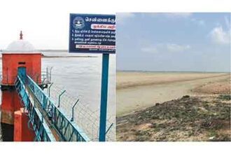 அரசு, தமிழ்நாடு