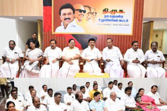 அரசு, தமிழ்நாடு