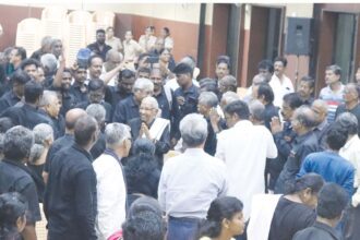 உற்சாக வரவேற்பு