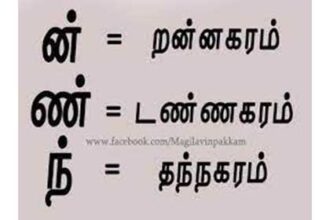 கட்டுரை, ஞாயிறு மலர்