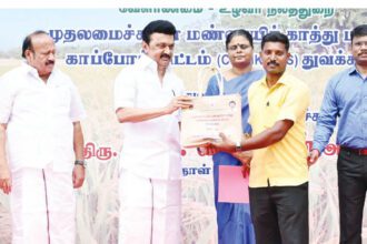 அரசியல், தமிழ்நாடு