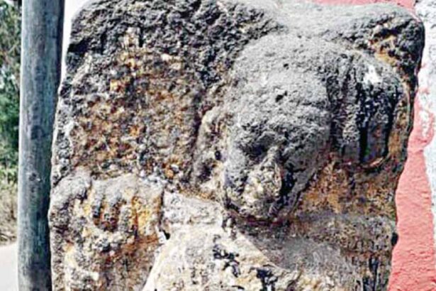 தமிழ்நாடு