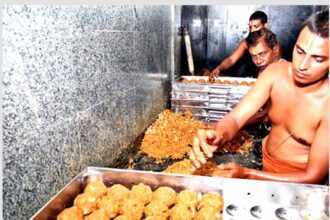 கட்டுரை, ஞாயிறு மலர்