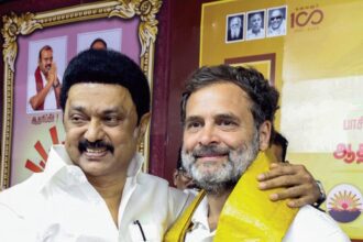 அரசியல், இந்தியா