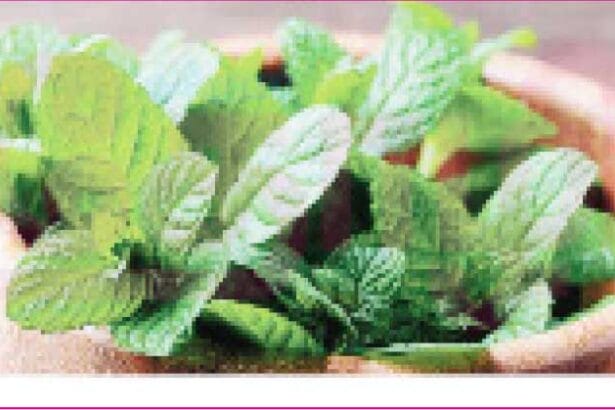 மருத்துவம்