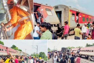 இந்தியா, தமிழ்நாடு