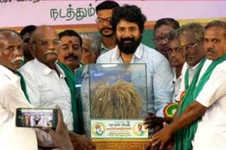 ஞாயிறு மலர்