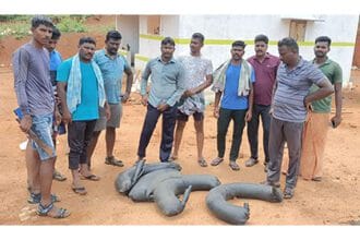 தமிழ்நாடு