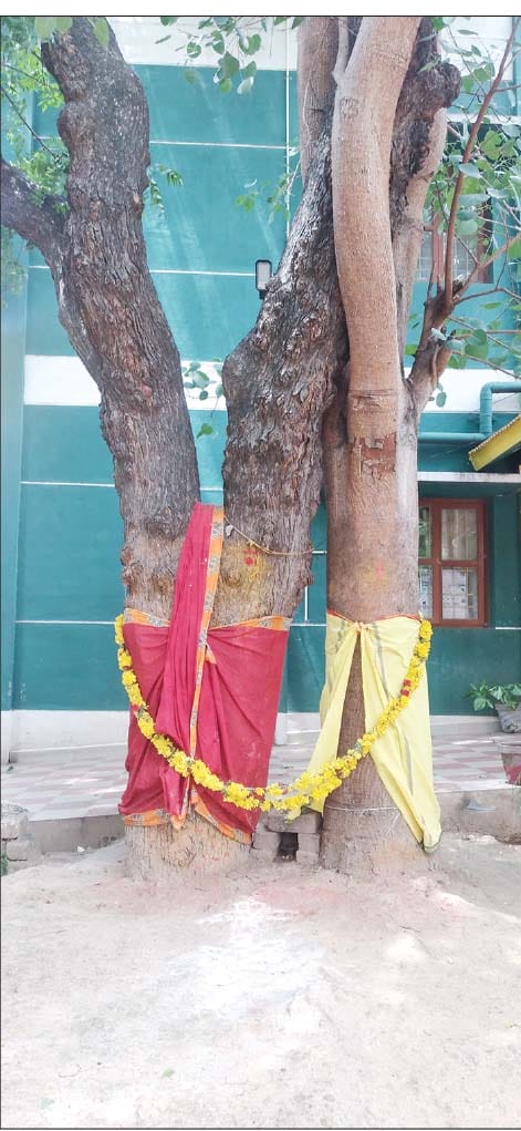 தமிழ்நாடு