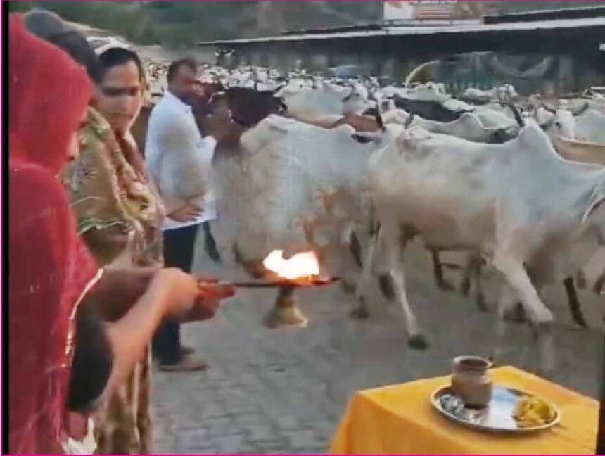 ஞாயிறு மலர்