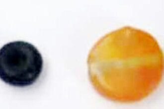 ஆசிரியர் அறிக்கை