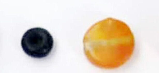 ஆசிரியர் அறிக்கை