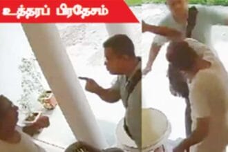சிறப்புக் கட்டுரை