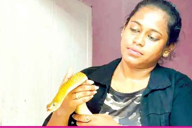 ஞாயிறு மலர்