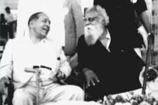 கட்டுரை