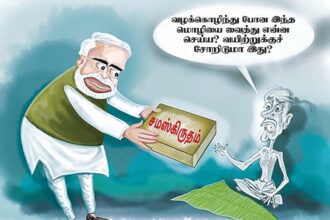 கட்டுரை, ஞாயிறு மலர்
