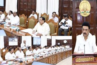 இந்தியா, தமிழ்நாடு