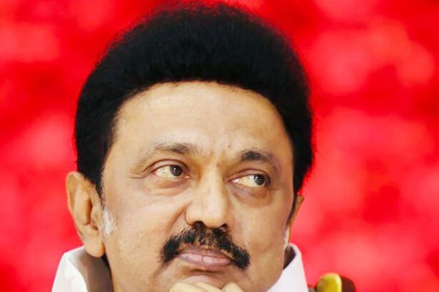 அரசு, தமிழ்நாடு