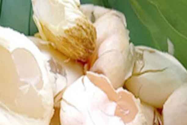 மருத்துவம்
