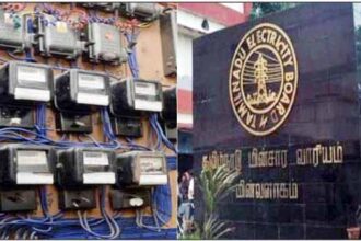 அரசு, தமிழ்நாடு