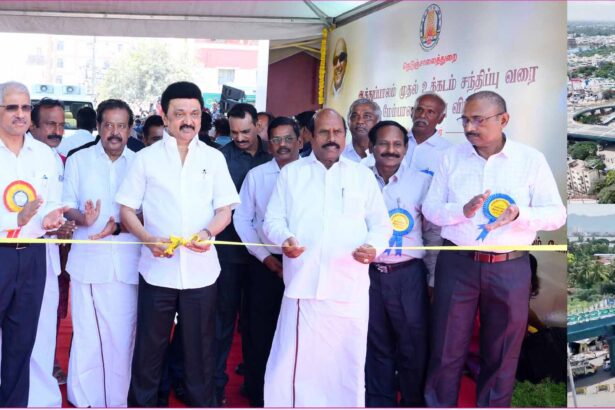 அரசு, தமிழ்நாடு