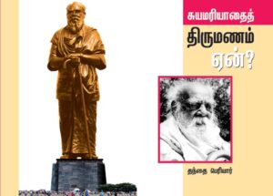 ஞாயிறு மலர்