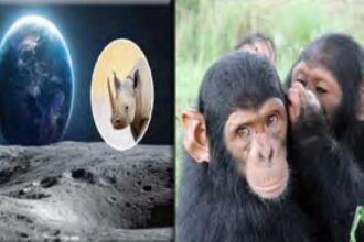 அறிவியல் அரங்கம்