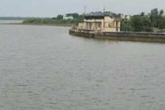 அரசு, தமிழ்நாடு