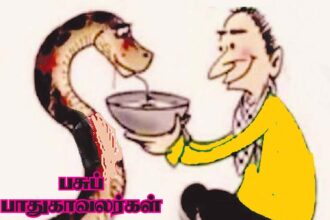 கட்டுரை, ஞாயிறு மலர்