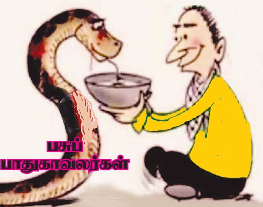 ஞாயிறு மலர்
