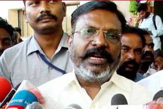 அரசு, தமிழ்நாடு