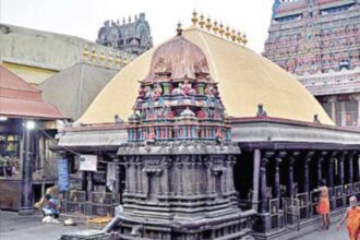 அரசு, தமிழ்நாடு